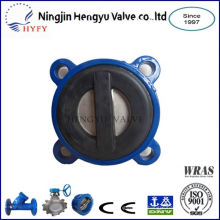 A variety of specifications din flange check valve